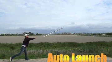 Auto Launch