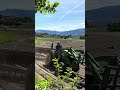Seeding the Future: ARBC's Barley Planting Adventure!