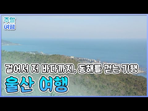 걸어서 저 바다까지🌊 동해를 걷는 기행 <strong>울산</strong> <strong>여행</strong> [테마기행길]