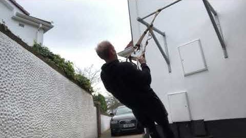 Negative ring row demo