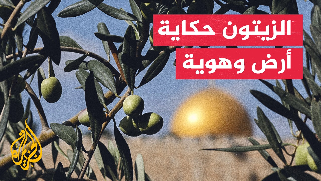 ���� �������.. ��� ����� ������� ��������� ����� ��� ���������ʿ
 - نشر قبل 57 دقيقة
