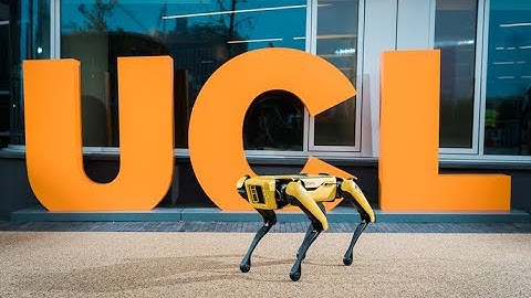 UCL Robotics and Artificial Intelligence MEng with Dr Igor Gapanov