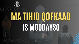 Ma Tihid Qofkaad Is Moodayso