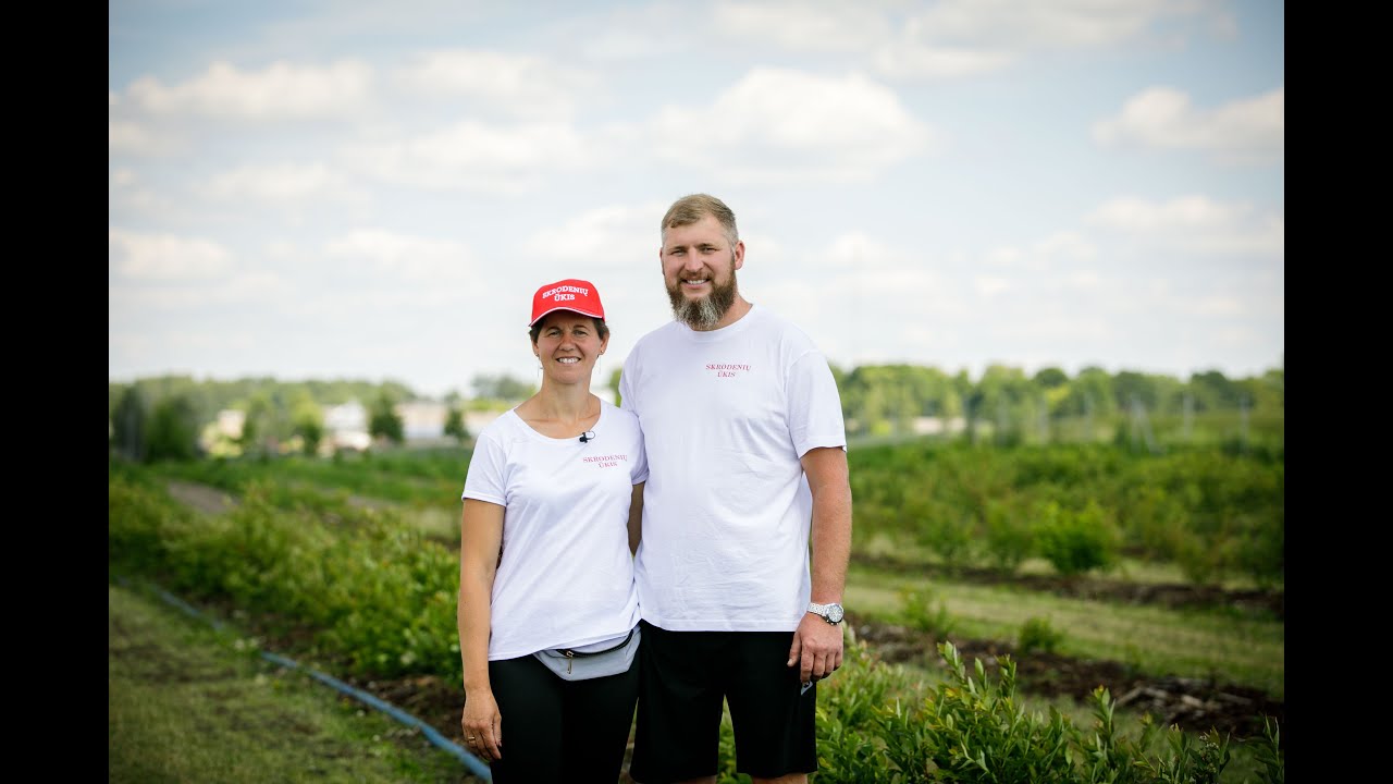 PASIMATUOK ŪKĮ: darbai SKRODENIŲ uogų ūkyje