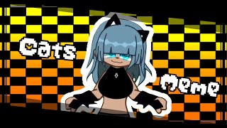 Cats Meme || [GC MEME] || Ft. Kurata ||