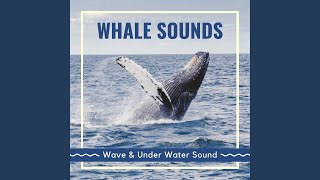 Sea Creature screenshot 3