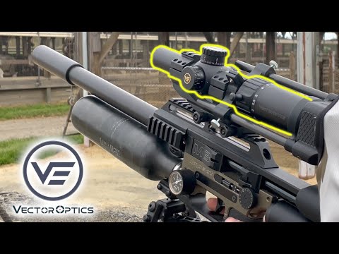 Baiting Pigeons and Blasting Starlings | Vector Optics Taurus