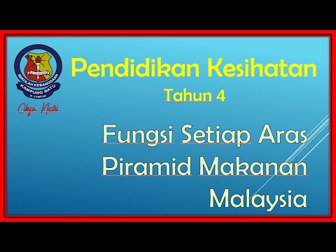 Fungsi Setiap Aras Piramid Makanan Malaysia Tahun 4 Youtube