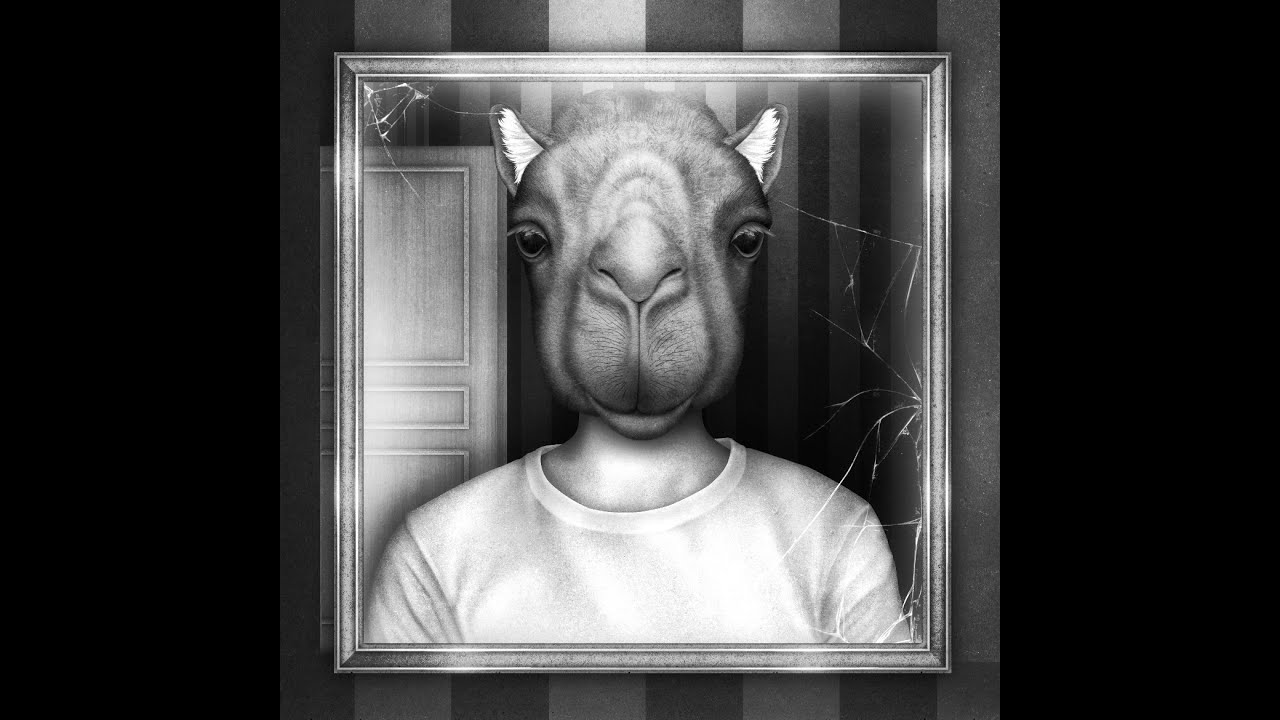 Untell - 낙타거울 CAMEL MIRROR OFFICIAL VISUALIZER