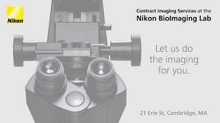 Contract Imaging Services at the Nikon BioImaging Lab