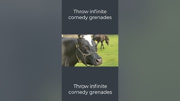 #7 Videos are the most viral