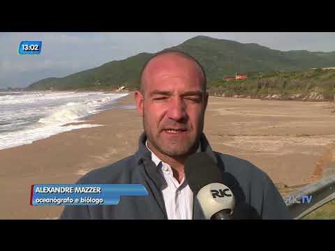 Vídeo: Por que as praias sofrem erosão?