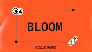 Bloom in Snapseed screenshot 1