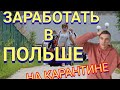 ШОК!!! КАК ЗАРАБАТЫВАЮТ В ПОЛЬШЕ НА КАРАНТИНЕ.