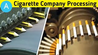Manufacturing Processes Cigarette Factory | That Are At Next Level by Avi