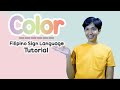 Color (Kulay) Filipino Sign Language Tutorial | Rai Zason