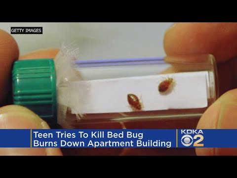 Teen Trying To Kill Bed Bug Causes $300K Fire In Cincinnati