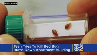 Teen Trying To Kill Bed Bug Causes $300K Fire In Cincinnati