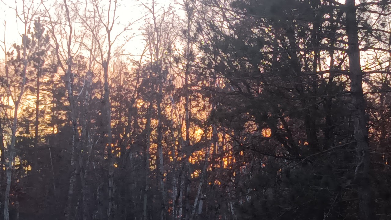 Found old pic of caiso