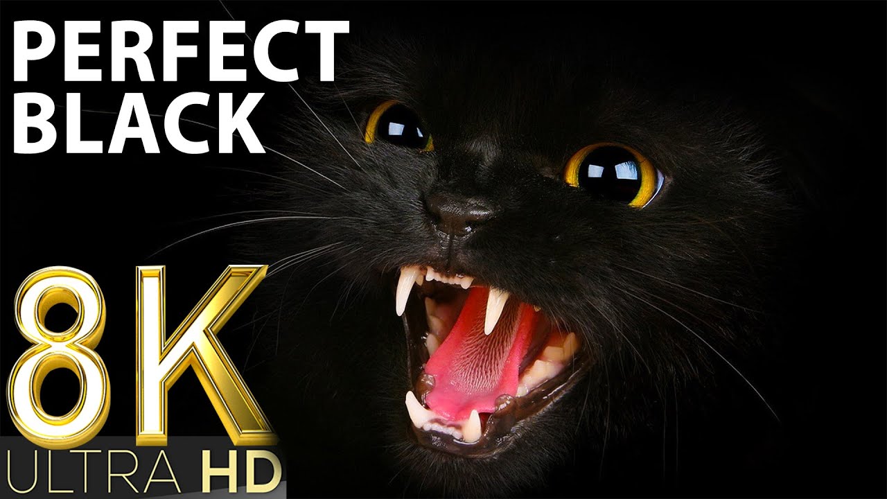 Perfect Black in 8K TV HDR 60FPS ULTRA HD | Great Experience 8K HDR 60FPS (FUHD) | RELAXATION MUSIC