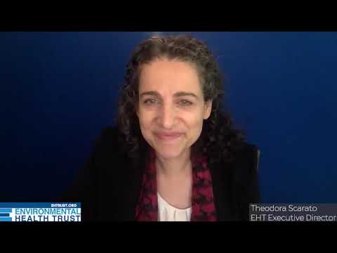 Video thumbnail for Reduce EMFs at Home | Building Biologist Stephanie Sage Kerst on Prioritizing Health and Wellbeing