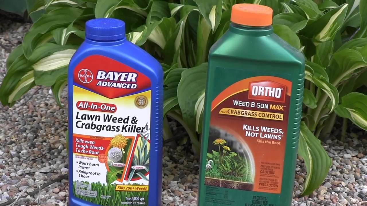 What is the best weed killer for lawns YouTube