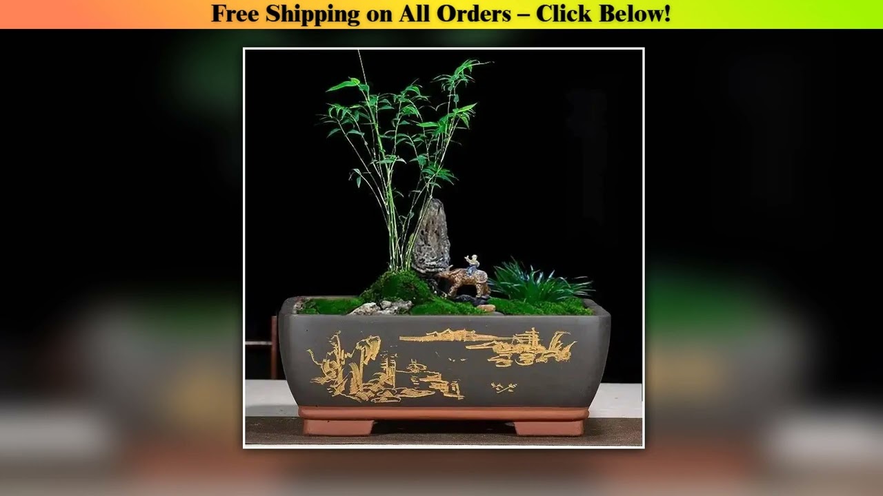 Flower Pot Purple Clay Ceramic Rectangular Bonsai Fig Tree Podocarpus Pine Ganoderma Old Stump Pot