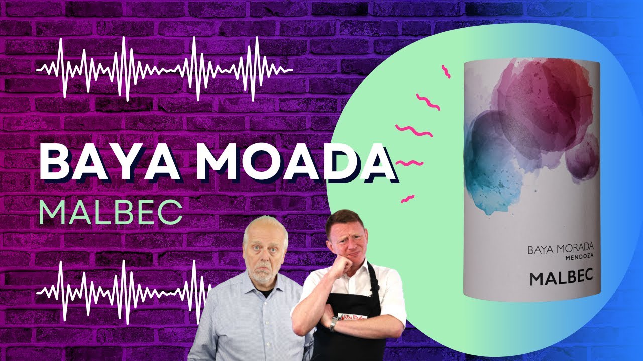 Argentina Malbec Review: The £8.79 Bottle That Completely Surprised Us!  (Episode 546)