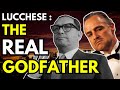 The REAL LIFE GODFATHER - Tommy Lucchese- The Most POWERFUL MOB BOSS in New York