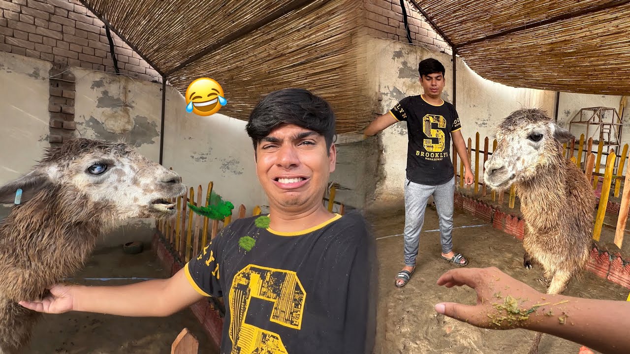 Lama Na Mera Sath Acha Nahi Kia 😰