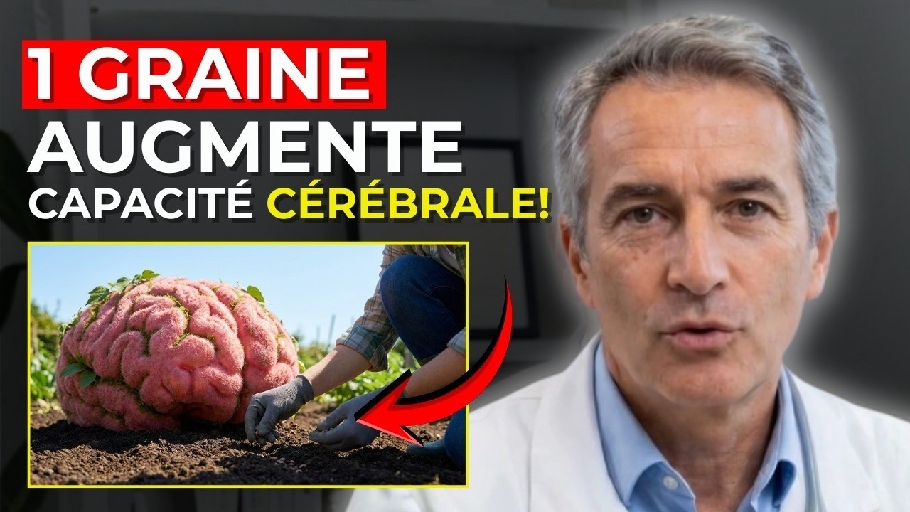 Quelle graine est la plus efficace pour augmenter les capacités cérébrales ?