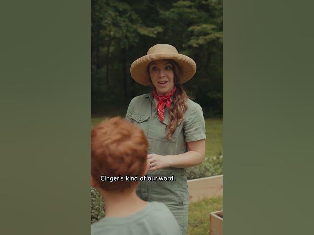 Our ginger son...