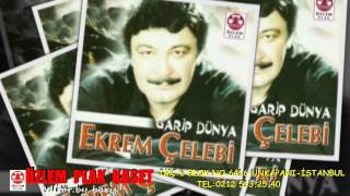 Ekrem Çelebi  -  Çiçekler  İçinde  Menevşe Baştır Resimi