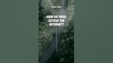 How does trees access the Internet? #dadjokes #jokes