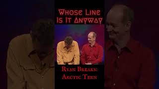 Arctic Tern - Whose Line: Ryan Breaks Net Worth