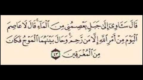 القارئ الشيخ محمد عطية الرزيقي ( محمد عبد الدايم)ما تيسر من سورة هود