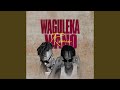 Waguleka Wano Feat H E Valley Music