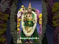 🍁முருகன் துணை 🍁 Tamil god murugan songs 🦚🦚 #shortsfeed #shorts #murugansongs #muruga