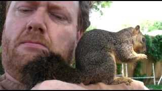 Nibbler Squirrel Mustache