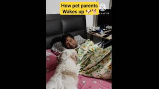 How Pet Parents Wakes Up #shorts #dog #funny #doglover
