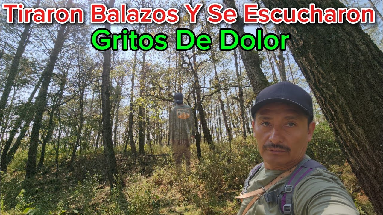  Llegaron En Moto Se Escucharon Balazos Y Gritos  De Dolor asta La Avioneta Paso 