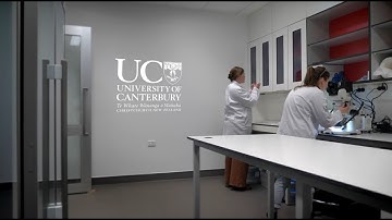 Tackling the ‘invisible’ plastic threat to our environment