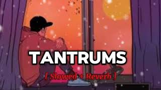 Tantrums - ( Slowed + Reverb ) | Paradox | Ishh and Ryan | MI LOFI