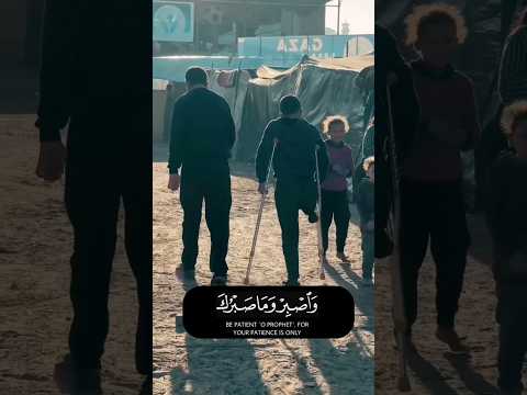 لايجدون الفرحة أطفال غزة اكسبلور ترند تيك توك اليمن محمد الفقيه صنعاء ذمار اب تعز عدن غزة