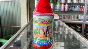 Thuốc cỏ khai hoang Voi Rừng#cây#caytrong#thuocbvtv | TUẤN HẰNG 3