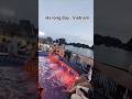 Halong Bay cruise ship party #halongbay #halongbaycruise #halongbaytravel #halongbaytour