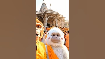 Vrindavan Mein Monkey ke kiye darshan #monkey #radheradhe #krishna#monkeyai #aishorts #viralvideo