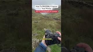 DAY 41 of Photography for Dummies
