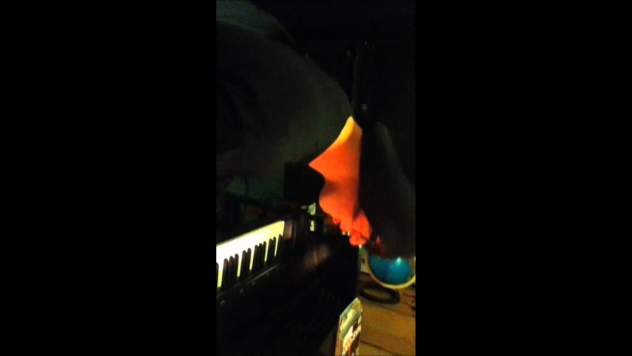 Lucretia in the Studio: Song for Cable Monkey