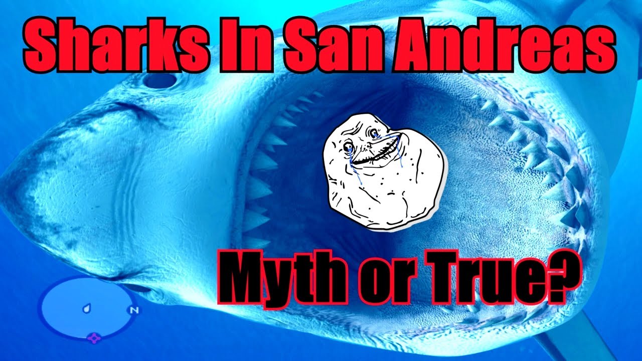 Were There Really Sharks In GTA San Andreas? YouTube
